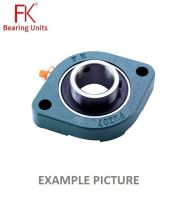 BLCTE 206 FK (SBFW 203)