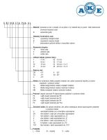 B 7022 CTA P4A TOTT AKE (7022 UC DTBTT/G095 P4)