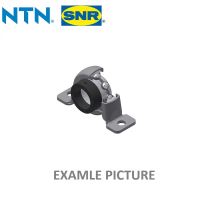 AELPP 204 NTN (SAPP 204)
