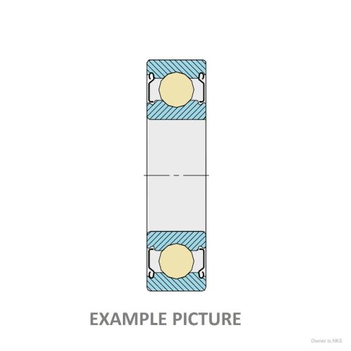 6305 2Z CODEX