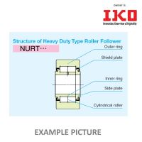 NUTR 1542 X IKO (NURT 15-1)