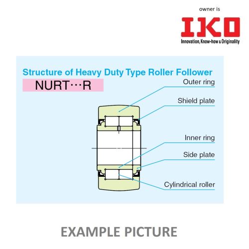 NUTR 3580 IKO (NURT 35-1 R IKO)