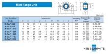 B-BAF 1012 NTN (1)