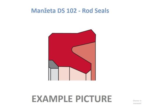 manžeta  45-55-7 - DS 102 FPM/PTFE (745)