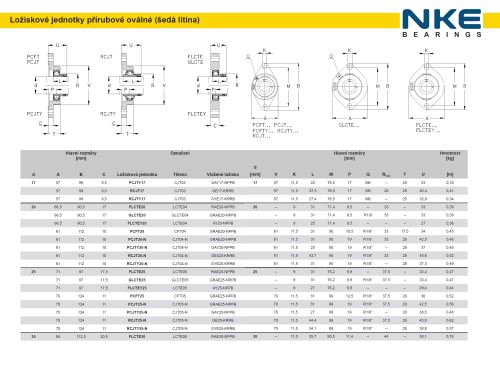 FLCTE 20 MON NKE (LCTE 04 + RAE 20 NPPB)
