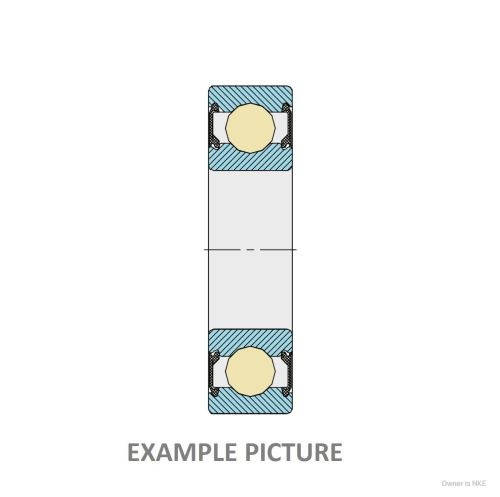 6007 2RS C3 CODEX