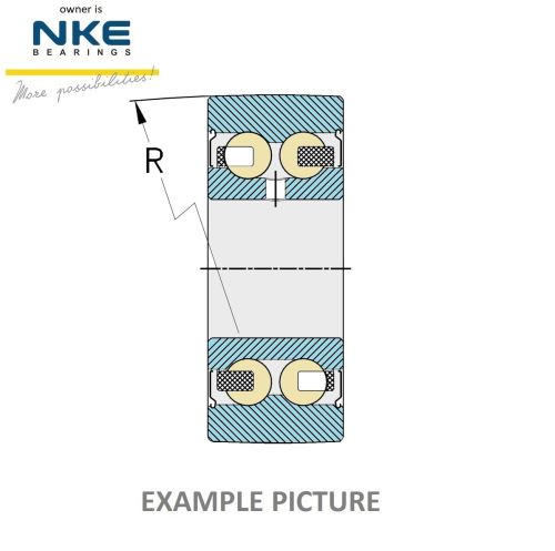 305802 2Z NKE