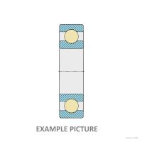 6307  CODEX